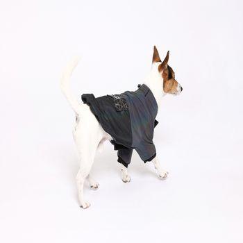 Rufus & Rosie Reflective Windbreaker Dog Coat, M+