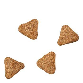 James Wellbeloved Dog Junior Fish & Rice