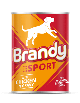 Brandy Sport Dog Food Tins, Chicken and Gravy, 390g
