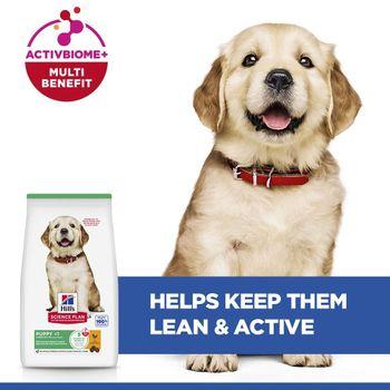 Hill's Science Plan Puppy Large Breed Dry Dog Food Chicken Flavour 12kg