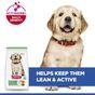 Hill's Science Plan Puppy Large Breed Dry Dog Food Chicken Flavour 12kg