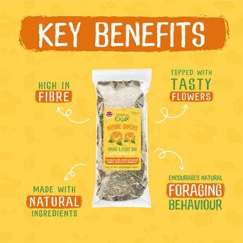 Burgess Excel Forage and Feast Hay Bar with Marigold 60g