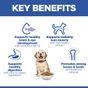 Hill's Science Plan Puppy Large Breed Dry Dog Food Chicken Flavour 12kg