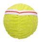 Rufus & Rosie Happy Sporty Plush Ball Dog Toy