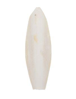 Countrywide Cuttlefish Bird Food, 6-8 Pack