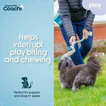 Coachi Puppy & Mini Tuggi Tug Dog Toy Teal & Mint