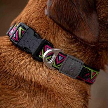 Neerdog Go-Cee-Lantana-Collar Large