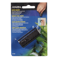 Marina Small Algae Magnet