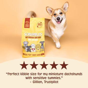 Scrumbles Dry Dog Food for Adult & Seniors Chicken 2kg
