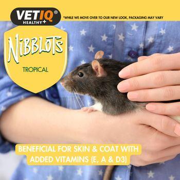 Nibblots Tropical Treats for Small Animals 30g