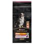 PRO PLAN Medium & Large Senior 7+ Sensitive Skin Salmon Dry Dog Food 14kg