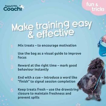 Coachi Puppy & Mini Treat Pouch Teal & Mint