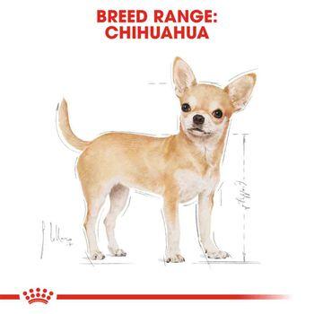 Royal Canin Wet Dog Food Wet Chihuahua, 12x85g