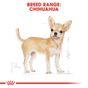 Royal Canin Wet Dog Food Wet Chihuahua, 12x85g