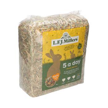 Natures Own 5 A Day Hay, 1Kg