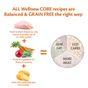 Wellness CORE Dry Large Breed Adult Dog Food Original Chicken Recipe 10kg