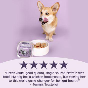 Scrumbles Grain Free Wet Dog Food Turkey 150g