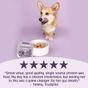 Scrumbles Grain Free Wet Dog Food Turkey 150g