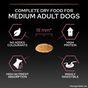 PRO PLAN Medium & Large Senior 7+ Sensitive Skin Salmon Dry Dog Food 14kg