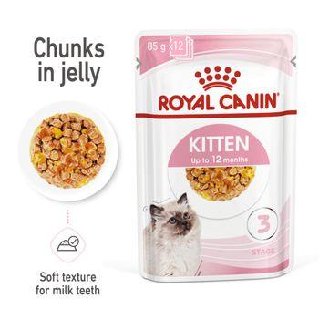 Royal Canin Kitten Pouch Multipack in Jelly 48x85g