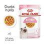 Royal Canin Kitten Pouch Multipack in Jelly 48x85g