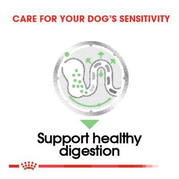Royal Canin Wet Dog Food Digestive Care Wet Pouches 12x85g