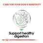 Royal Canin Wet Dog Food Digestive Care Wet Pouches 12x85g