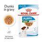 Royal Canin Puppy Small Breed Wet Dog Food in Gravy 48x85g