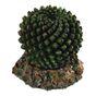 Repstyle Cactus with Rock Base Reptile Vivarium Accessory