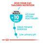 Royal Canin Feline Urinary Care Dry Cat Food, 2kg