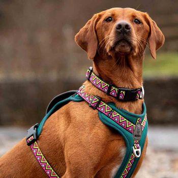 Neerdog Go-B-Bold Airflow Dog Harness-Lantana Large