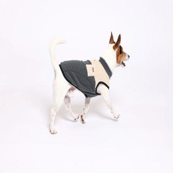 Rufus & Rosie Beige & Grey Explorer Dog Gilet, M+