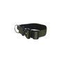 Rufus & Rosie Padded Handle Dog Collar, Medium, Khaki