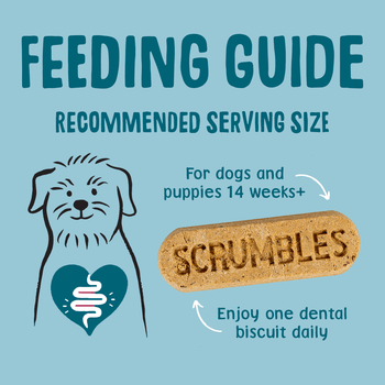 Scrumbles Gnashers for Dogs, Daily Dental Sticks 125g