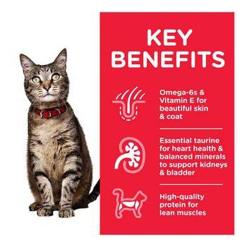 Hill's Science Plan Feline Adult Dry Cat Food Chicken 3kg