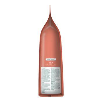 Arden Grange Adult with Salmon Rice 12kg Dry Dog Food