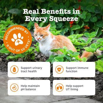 Zesty Paws Urinary Care Paste for Cats 120g