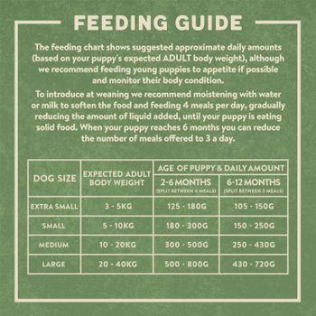 Harringtons Puppy Salmon & Rice Dry Dog Food 10kg 