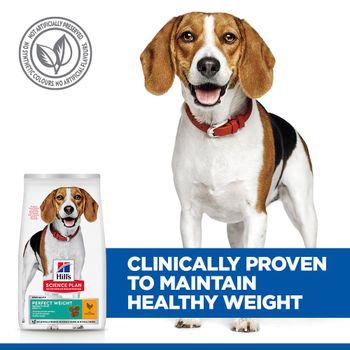 Hill'S Science Plan Adult Perfect Weight Medium Dry Dog Food Chicken Flavour 12kg
