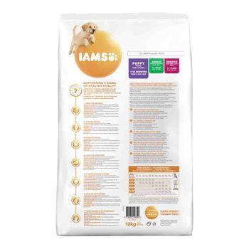 Iams large breed dog food 12kg best sale