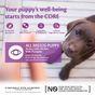 Wellness CORE Wet Puppy Food Duo Protein Chicken with Turkey with Pumpkin Recipe 400g