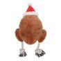 Smart Choice Squeaky Plush Turkey Dog Toy
