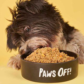 Tuggs Turkey Triumph Complete Frozen Fresh Dog Food 700g