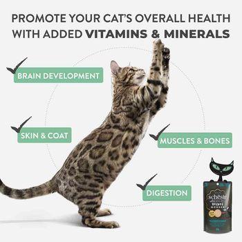 Schesir After Dark Complete and Balanced Wet Cat Food Chicken & Quail Egg in Mousse 80g