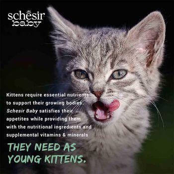 Schesir Complete and Balanced Wet Kitten Food Salmon in Mousse 70g