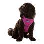 Doodlebone Trendy Tails Stomp Dog Harness Purple 1-2