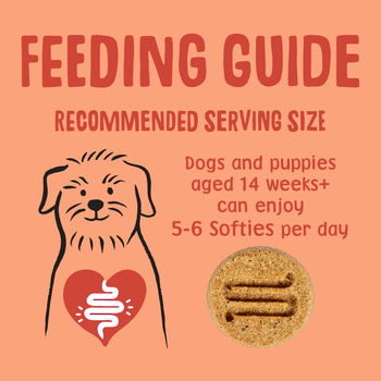 Scrumbles Softies Training Treats for Dogs Chicken and Duck 90g