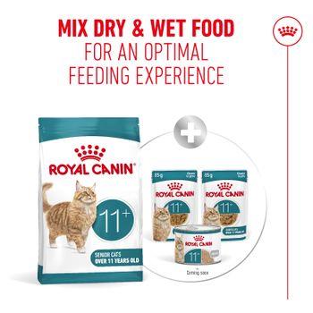 Royal Canin FHN Ageing Dry Cat Food 11+ 400g