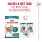Royal Canin FHN Ageing Dry Cat Food 11+ 400g