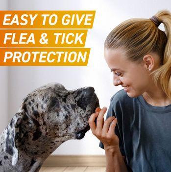 FRONTPRO® Chewable Tablets Flea & Tick Treatment for Medium Dogs 4-10kg, 3 Pack